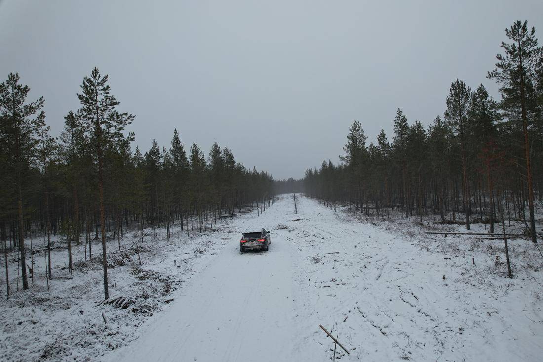 Aerial view of Hallanvahti site review — engineers walking the ground before tender response